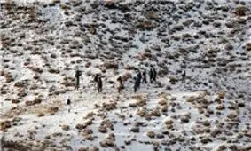 وزش باد دناکوه رو به افزایش است/ احتمال بارش برف به صورت منقطع