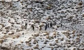 وزش باد دناکوه رو به افزایش است/ احتمال بارش برف به صورت منقطع