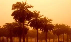 اخطار هواشناسی برای ورود گرد و خاک عراق به ۱۲ شهر خوزستان