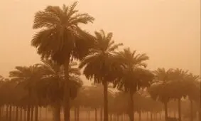 اخطار هواشناسی برای ورود گرد و خاک عراق به ۱۲ شهر خوزستان