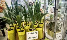 ایران سیزدهمین کشور برتر در حوزه زیست فناوری است