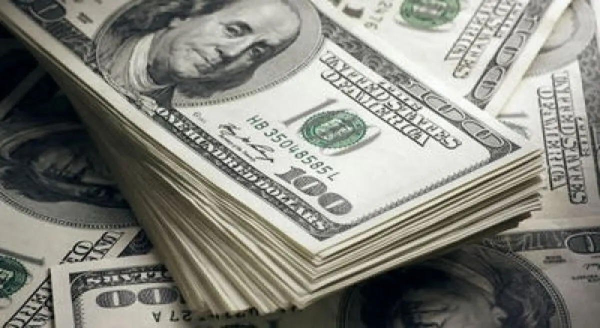 تشریح علل التهاب بازار ارز از زبان عضو کمیسیون اقتصادی مجلس/دولت خیلی هم مقصر نبود
