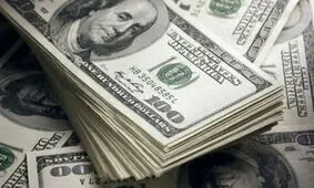 تشریح علل التهاب بازار ارز از زبان عضو کمیسیون اقتصادی مجلس/دولت خیلی هم مقصر نبود