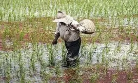 خلاقیت منجر به توسعه بخش کشاورزی گیلان می شود