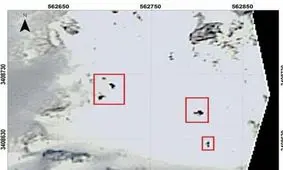 تیم‌های عملیاتی اجساد را از لاشه هواپیما خارج کرده‌اند/ بخش اعظمی از هواپیما در قعر برف است