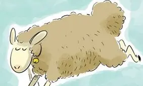 محلی برای عبور و مرور گوسفندان