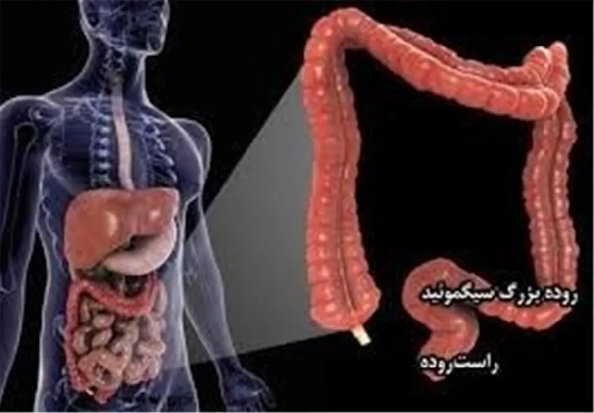 ۷ دلیل ابتلا به "بواسیر"