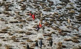 تلاش 40 امدادگر برای انتقال اجساد سرنشینان هواپیمای تهران - یاسوج