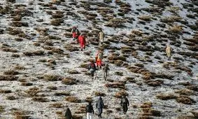 تلاش 40 امدادگر برای انتقال اجساد سرنشینان هواپیمای تهران - یاسوج