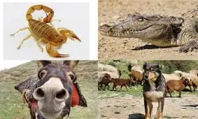 اینفوگرافیک/ بزرگترین قاتلان دنیا را بشناسید