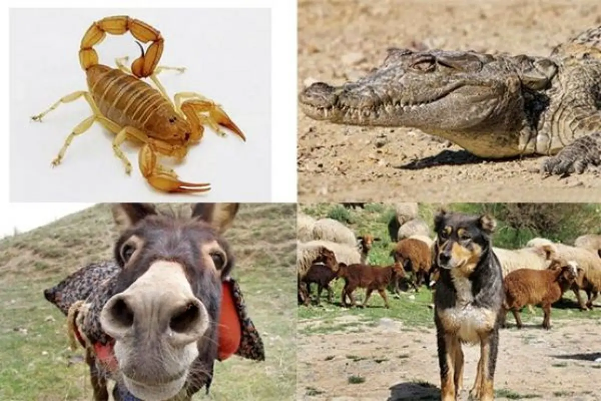 اینفوگرافیک/ بزرگترین قاتلان دنیا را بشناسید