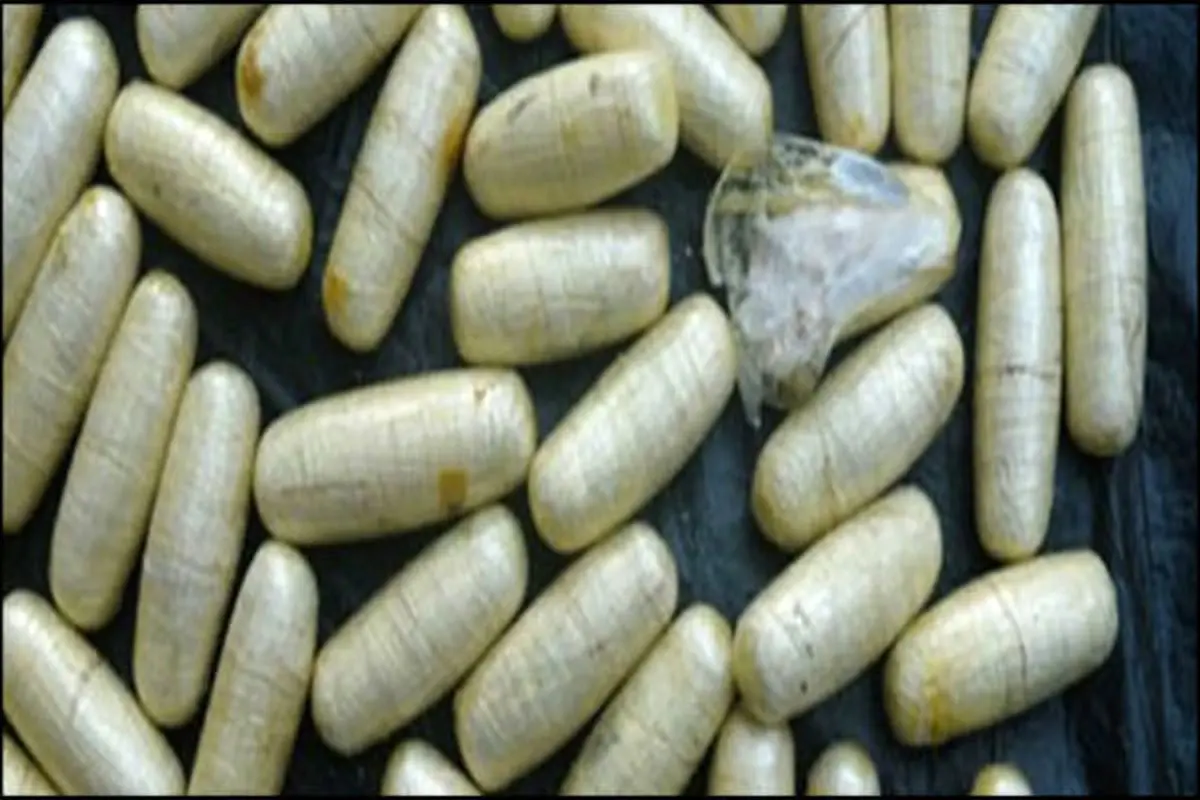 انهدام باند تهیه و توزیع کوکائین در شهرک غرب