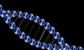 ژن هایی که زمان مرگ شما را مشخص می کند!