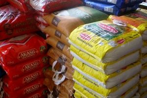 برنج تولیدی استان گیلان نیازمند بسته‌بندی مناسب است