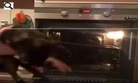 تفریح وحشتناک دانشجویان روسی + فیلم