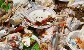 اینفوگرافیک/ غذاهایی که زباله می شود