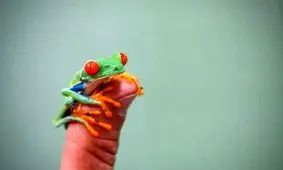 عکس/ موجودات بند انگشتی