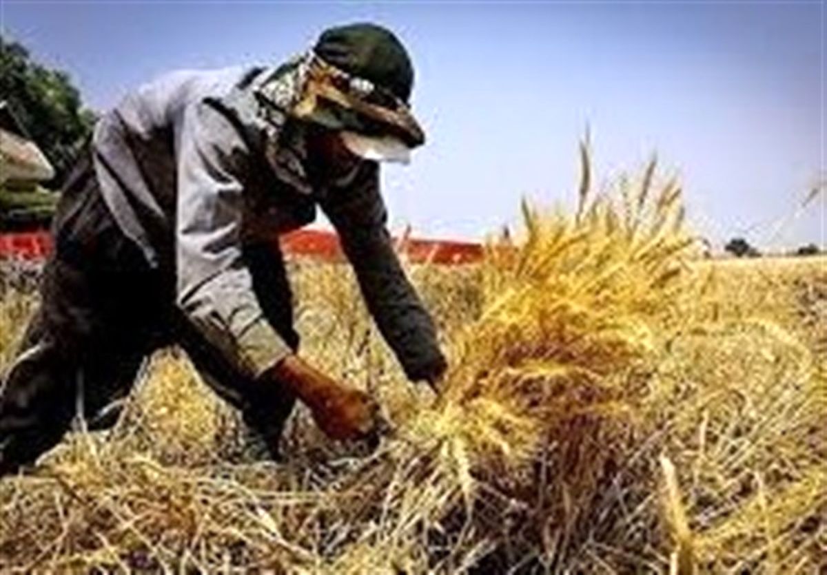 اختصاص وام ۲۰۰ میلیارد تومانی قرضالحسنه به برخی روستاهای کشور