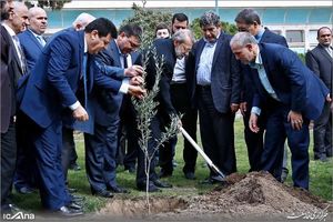 تصاویری از درختکاری لاریجانی در فضای مجلس/ درختی که رئیس مجلس کاشت از چه نوعی بود؟