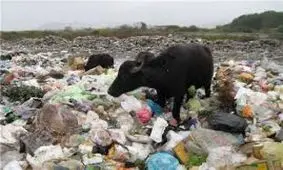 سفیر اکوادو در طرح " بی زباله " گیلان مشارکت می‌کند