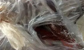 کشف لاشه قوچ وحشی در یک قنادی در شرق تهران 