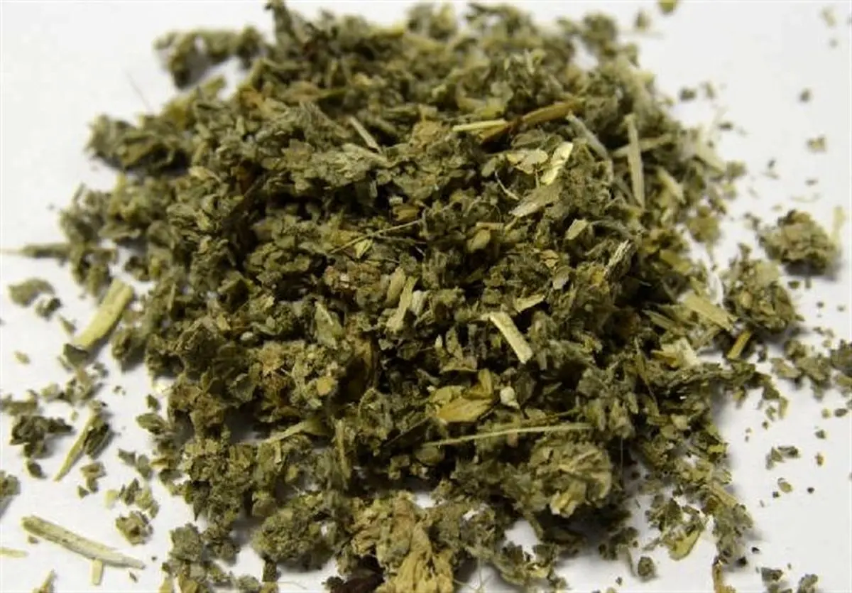 ورود بذر گل‌های مخدر رنگی با قیمت نجومی