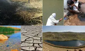 تبدیل 80درصد مساحت تالابهای لرستان به مزرعه/ اکوسیستم ۱۱ هزارساله در حال نابودی