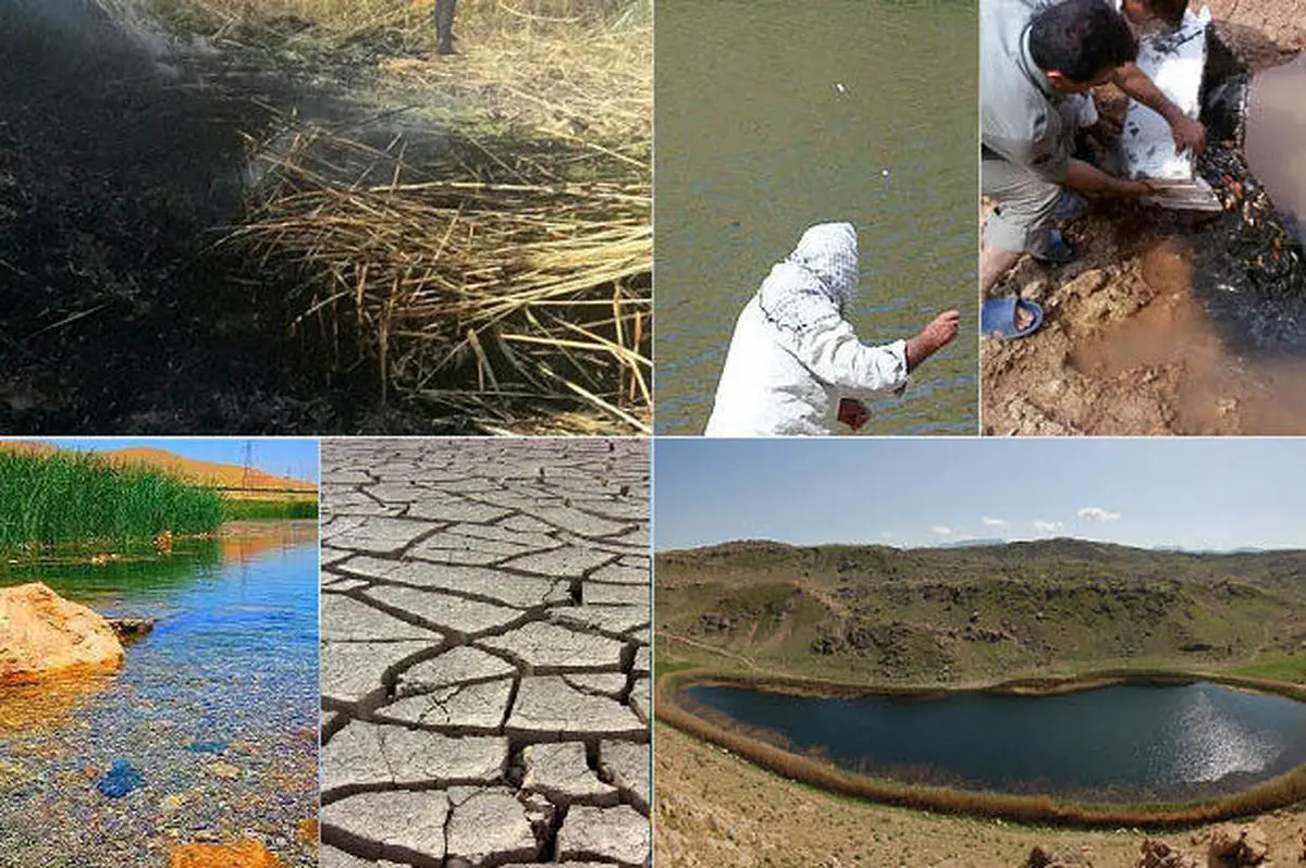 تبدیل 80درصد مساحت تالابهای لرستان به مزرعه/ اکوسیستم ۱۱ هزارساله در حال نابودی