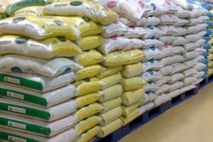 ترخیص برنج هندی تا ۱۵ روز دیگر/ کاهش قیمت برنج هندی برای بازار شب عید