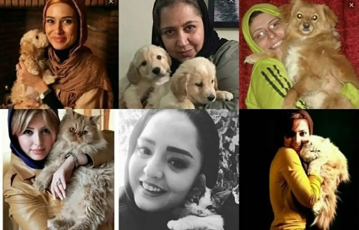 زندگی به رنگ زرد / وقتی حیوانات هم سلبریتی می‌شوند