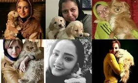 زندگی به رنگ زرد / وقتی حیوانات هم سلبریتی می‌شوند