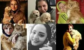 زندگی به رنگ زرد / وقتی حیوانات هم سلبریتی می‌شوند
