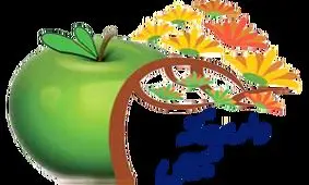 "فروشگاه‌های سلامت" جایگزین داروخانه‌های طبیعی می‌شوند