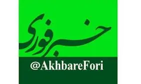 خبرفوری را بیشتر بشناسید