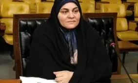 سعیدی: فشارها از بیرون شهرداری در استعفای نجفی بی‌تاثیر نبوده است