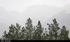 مدارس ارومیه فردا در نوبت صبح تعطیل شد