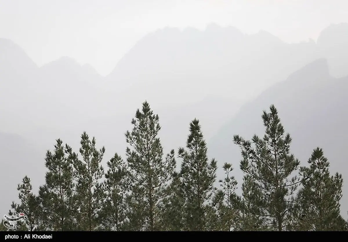مدارس ارومیه فردا در نوبت صبح تعطیل شد