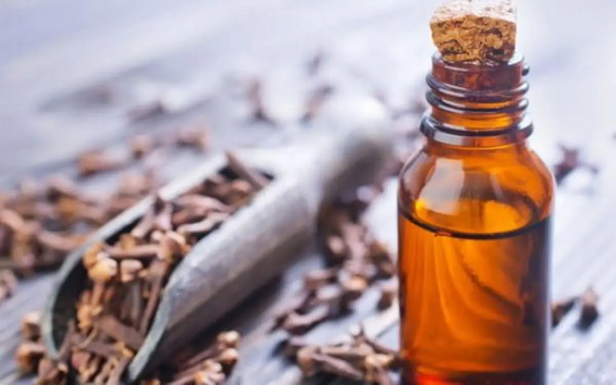 تسکین درد دندان با روغن میخک