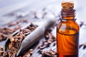 تسکین درد دندان با روغن میخک