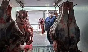 گوشت تازه گوسفندی ۳۳ هزار تومانی در ایام نوروز توزیع می شود
