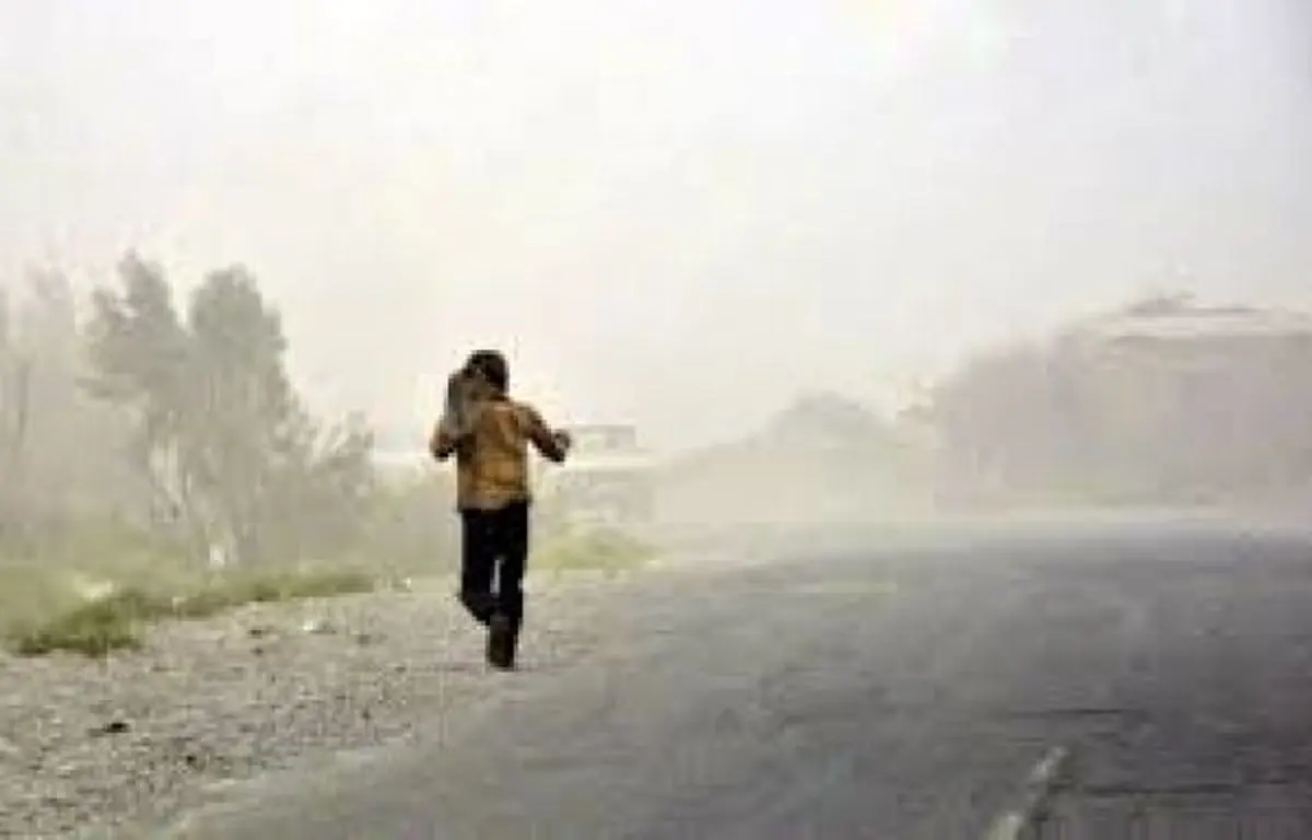 تخریب 185هکتار از خزانه برنج بابل بر اثر تندباد