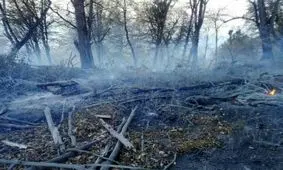 آتش سوزی جنگل های چالوس مهار شد