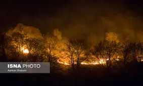 جنگل کهنه ده کجور همچنان می سوزد