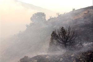 آتش‌سوزی در جنگل‌های شهرستان گالیکش مهار شد