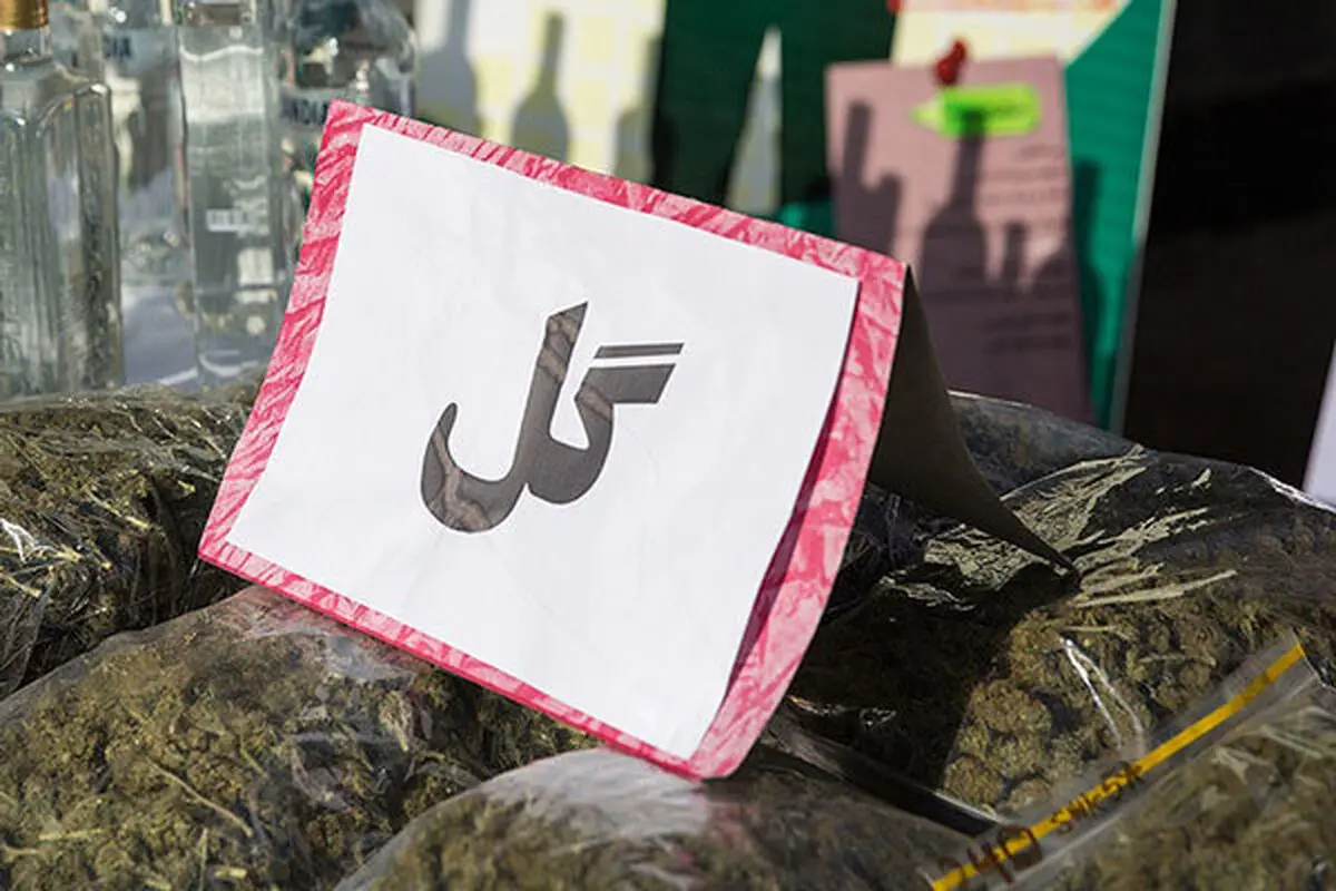 کشف ۶ کیلوگرم ماده مخدر گل در نازی آباد