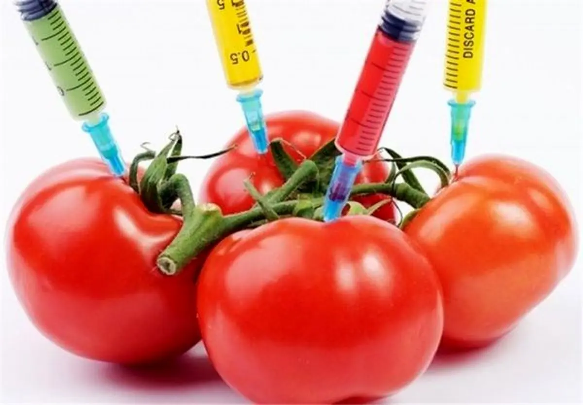 محصولات تراریخته؛ سلام یا ناسالم؟