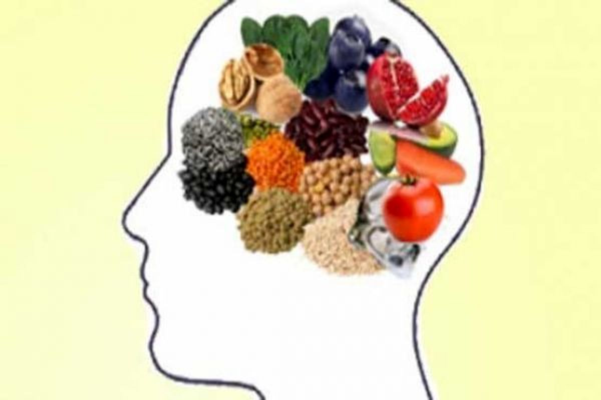 چه خوراکی‌هایی برای مغزتان مهم است؟