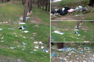 پارک جنگلی لویزان در تصرف زباله‌ها