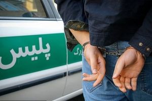 دستگیری متصرف عرصه و حریم دیوار بزرگ گرگان