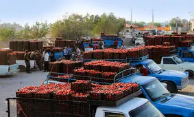 افزایش قیمت بنزین، بازار میوه را گران‌تر می‌کند